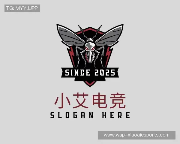 介绍小艾电竞首页